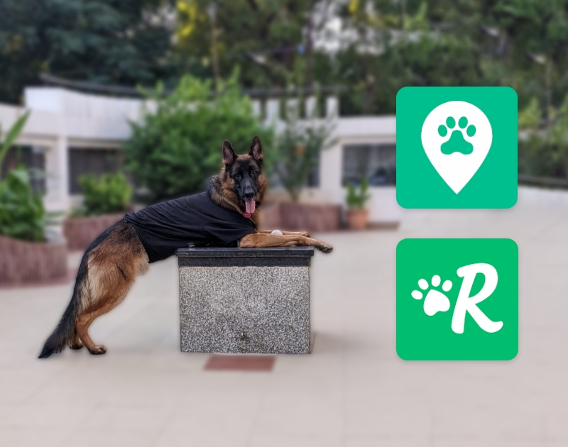 Dog walker alternative apps