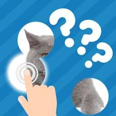 101 Pics: Photo Quiz 