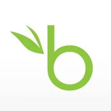 BambooHR 