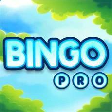 Bingo Masters Professional