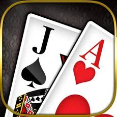 Blackjack 21-Platinum Player