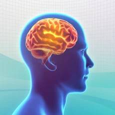 Knowledge Trainer: Trivia