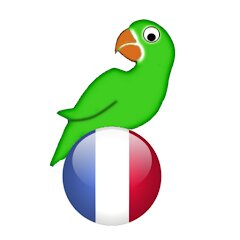 Learn French from scratch