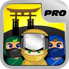 Ninja Temple