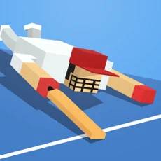 One More Run: Endless Cricket Runner 