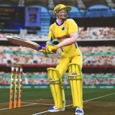 Play Cricket Games 2021