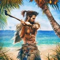 Survivor Adventure : Survival 