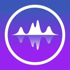The Podcast Player