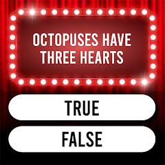 Trivia Time