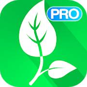 Vegetarian and Vegan Recipes Pro