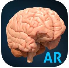 AnatomyAR+ for Merge Cube