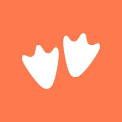 Goosechase