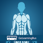 Human Body Anatomy