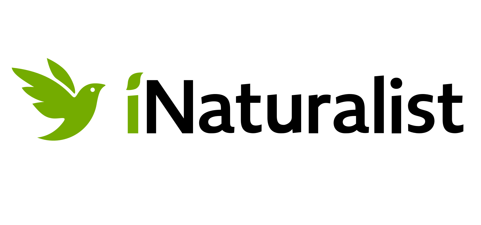 iNaturalist