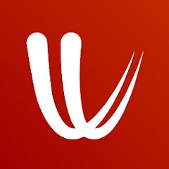 Windy.com-Weather-Forecast 