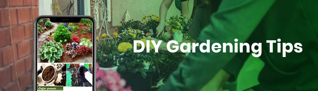 DIY Gardening Tips App