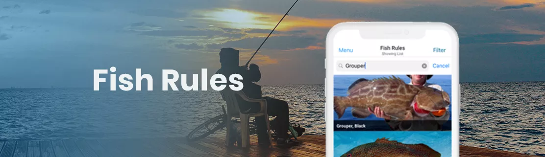 Fish Rules App