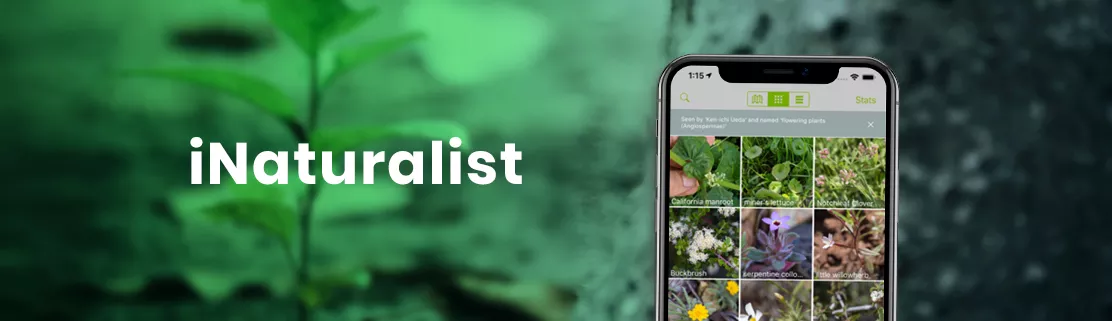 iNaturalist app
