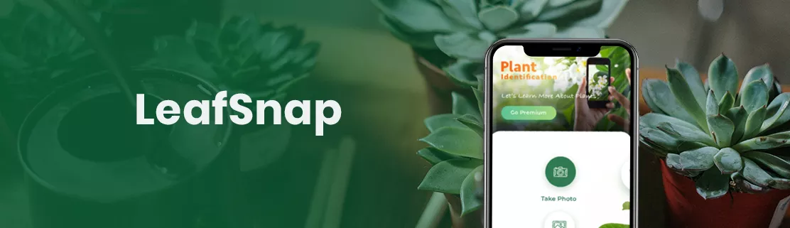 LeafSnap App