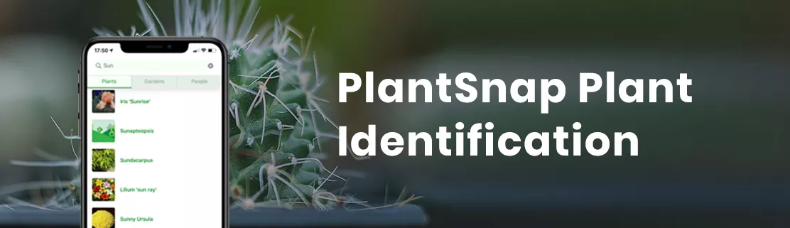 Plantsnap Free App
