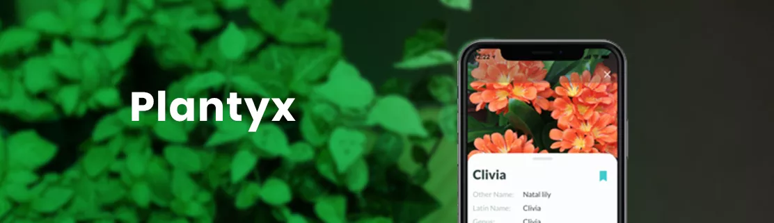 Nature ID App