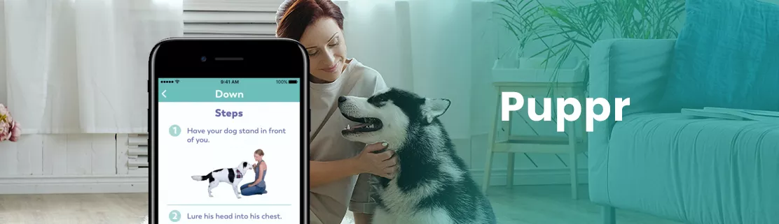 Best Puppr App
