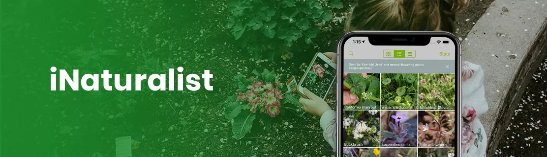 iNaturalist App
