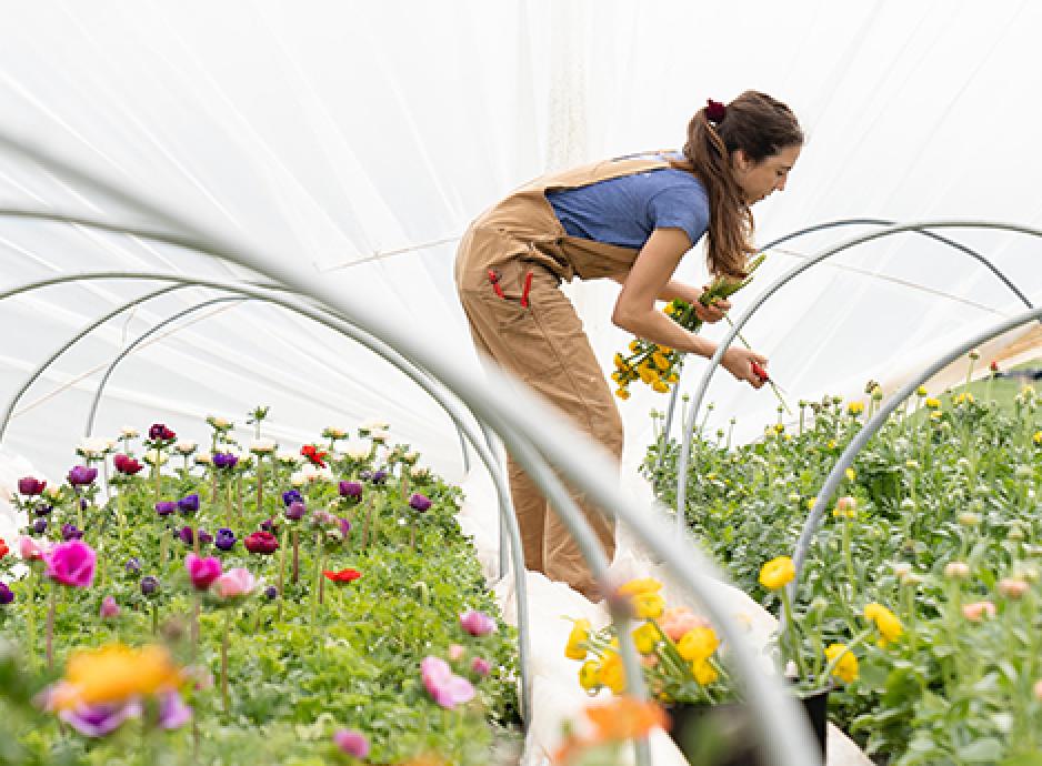 Best Gardening Apps