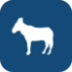 Band Mule App Logo
